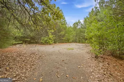 138 Roy Dean Road, Buchanan, GA 30113 - Photo 29