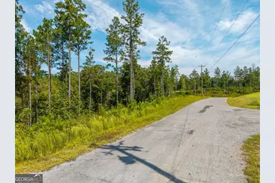Lt 141 Blalock Mountain Road, Talking Rock, GA 30175 - Photo 11