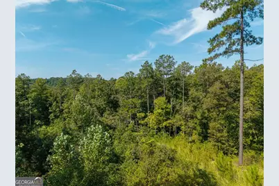 Lt 141 Blalock Mountain Road, Talking Rock, GA 30175 - Photo 19