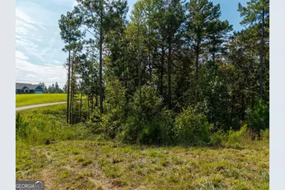 Lt 141 Blalock Mountain Road, Talking Rock, GA 30175 - Photo 15