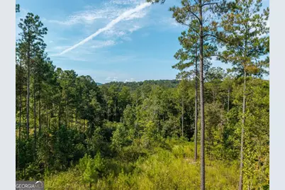 Lt 141 Blalock Mountain Road, Talking Rock, GA 30175 - Photo 17