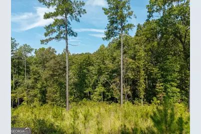 Lt 141 Blalock Mountain Road, Talking Rock, GA 30175 - Photo 13