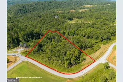 Lt 141 Blalock Mountain Road, Talking Rock, GA 30175 - Photo 3
