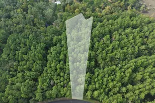 Lot 20 James Ln, White Oak, GA 31568 - Photo 1