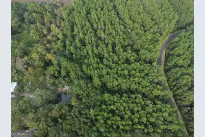 Lot 20 James Lane, White Oak, GA 31568 - Photo 11