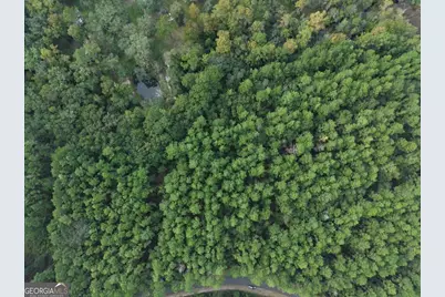 Lot 20 James Lane, White Oak, GA 31568 - Photo 7