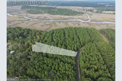 Lot 20 James Lane, White Oak, GA 31568 - Photo 3