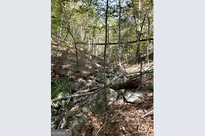 Tract 2 Dennis Creek Road, Talbotton, GA 31827 - Photo 15