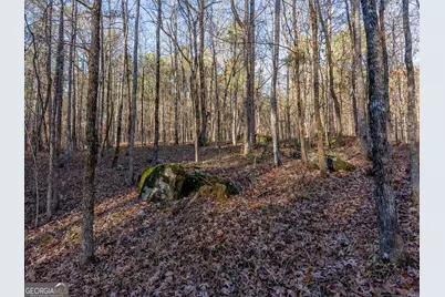 Tract 2 Dennis Creek Road, Talbotton, GA 31827 - Photo 61