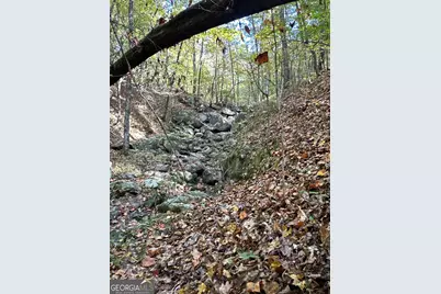 Tract 2 Dennis Creek Road, Talbotton, GA 31827 - Photo 17