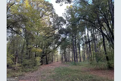 Tract 2 Dennis Creek Road, Talbotton, GA 31827 - Photo 21
