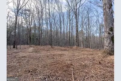Tract 2 Dennis Creek Road, Talbotton, GA 31827 - Photo 49