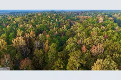 Tract 2 Dennis Creek Road, Talbotton, GA 31827 - Photo 11