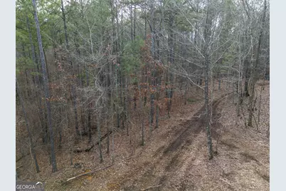 Tract 2 Dennis Creek Road, Talbotton, GA 31827 - Photo 41
