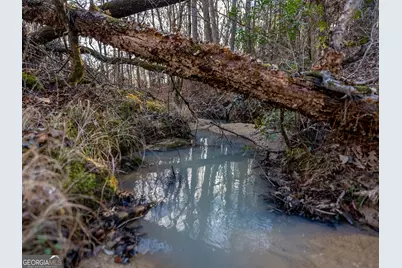 Tract 2 Dennis Creek Road, Talbotton, GA 31827 - Photo 59