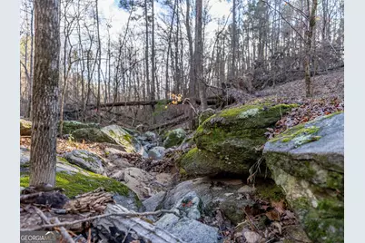 Tract 2 Dennis Creek Road, Talbotton, GA 31827 - Photo 57