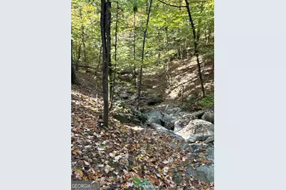 Tract 2 Dennis Creek Road, Talbotton, GA 31827 - Photo 7