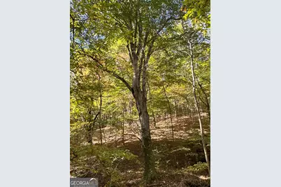 Tract 2 Dennis Creek Road, Talbotton, GA 31827 - Photo 19