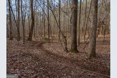 Tract 2 Dennis Creek Road, Talbotton, GA 31827 - Photo 51