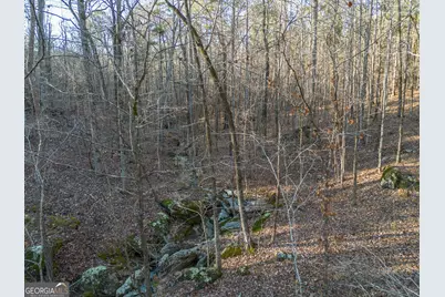 Tract 2 Dennis Creek Road, Talbotton, GA 31827 - Photo 43