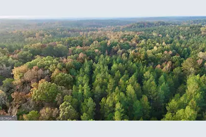 Tract 2 Dennis Creek Road, Talbotton, GA 31827 - Photo 13