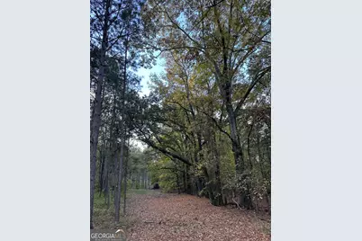 Tract 2 Dennis Creek Road, Talbotton, GA 31827 - Photo 23
