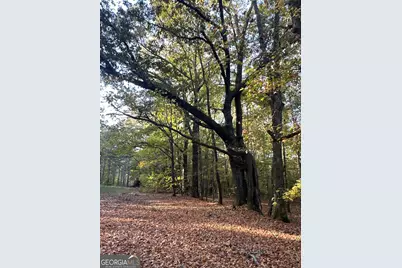 Tract 2 Dennis Creek Road, Talbotton, GA 31827 - Photo 9