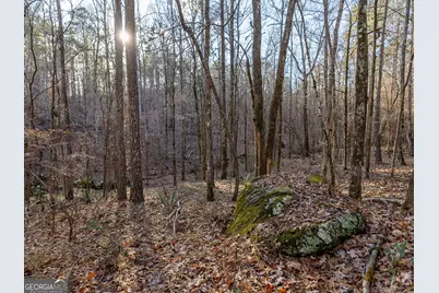 Tract 2 Dennis Creek Road, Talbotton, GA 31827 - Photo 55