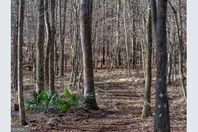 Tract 2 Dennis Creek Road, Talbotton, GA 31827 - Photo 53