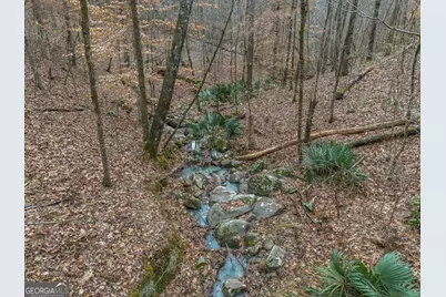 Tract 2 Dennis Creek Road, Talbotton, GA 31827 - Photo 35