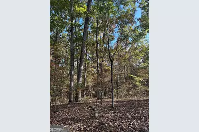 Tract 2 Dennis Creek Road, Talbotton, GA 31827 - Photo 31
