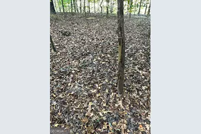 Tract 2 Dennis Creek Road, Talbotton, GA 31827 - Photo 27