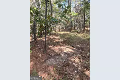 Tract 2 Dennis Creek Road, Talbotton, GA 31827 - Photo 33