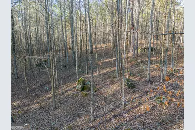 Tract 2 Dennis Creek Road, Talbotton, GA 31827 - Photo 45