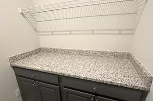 312 Basel Way, Hampton, GA 30228 - Photo 29
