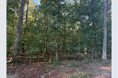 0 Owensby Lane, Adairsville, GA 30103 - Photo 7