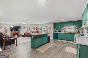 7767 Lodgetown Rd, Pelham, GA 31779 - Photo 29
