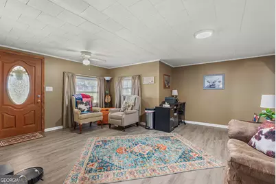 7767 Lodgetown Road, Pelham, GA 31779 - Photo 7