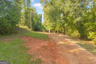 367 Griffin Road, Martin, GA 30557 - Photo 33