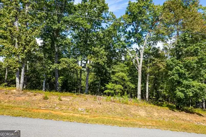 Lot 3 Blalock Mountain Road, Talking Rock, GA 30175 - Photo 29