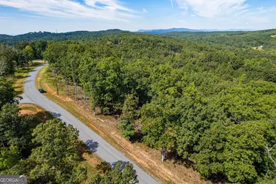 Lot 3 Blalock Mountain Road, Talking Rock, GA 30175 - Photo 25