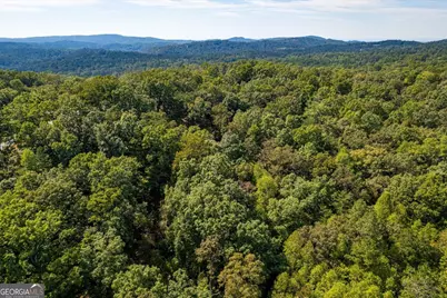 Lot 3 Blalock Mountain Road, Talking Rock, GA 30175 - Photo 19