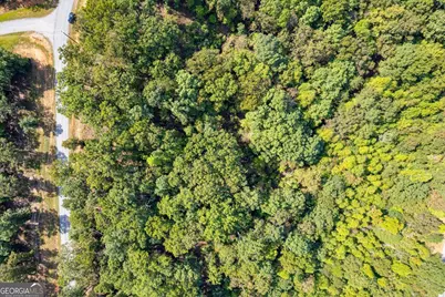 Lot 3 Blalock Mountain Road, Talking Rock, GA 30175 - Photo 21
