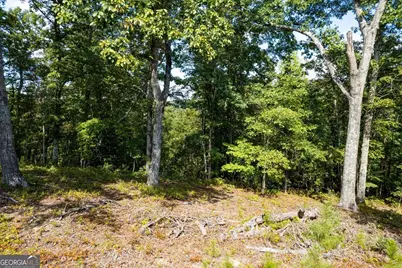 Lot 3 Blalock Mountain Road, Talking Rock, GA 30175 - Photo 17