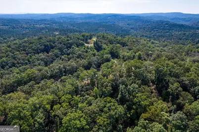 Lot 3 Blalock Mountain Road, Talking Rock, GA 30175 - Photo 23