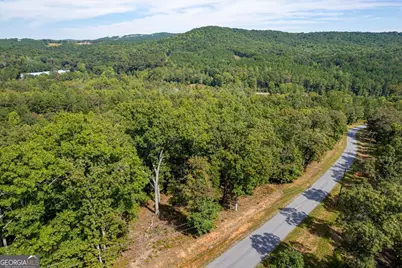 Lot 3 Blalock Mountain Road, Talking Rock, GA 30175 - Photo 27