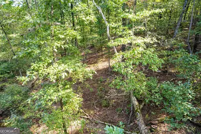 Lot 3 Blalock Mountain Road, Talking Rock, GA 30175 - Photo 15