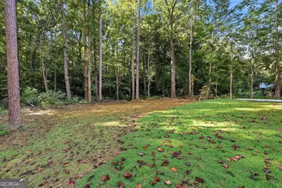 324 Fern Valley Drive, Toccoa, GA 30577 - Photo 49