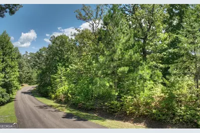 138 Harris Creek Drive #138, Ellijay, GA 30540 - Photo 5