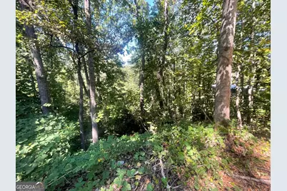 0 Eagle Court, Toccoa, GA 30577 - Photo 7